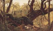 Rain Forest,jamaica,West Indies Frederic E.Church